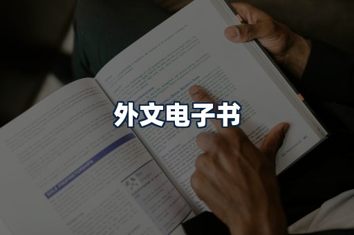 外文电子书